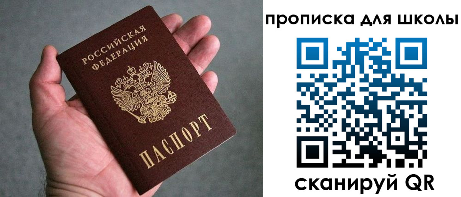 прописка для школы в Новоалександровске